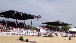 2014 Devon Shetland Pony Steeplechase [upl. by Oirifrop482]