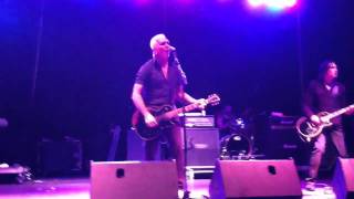 Everclear  Santa Monica Live [upl. by Thursby]