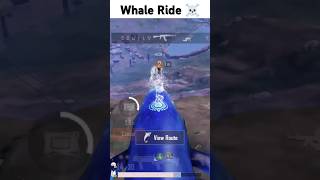 whale 🐳 Rider 💀 battlegroundsmobileindia bgmi pubgmobile pubg gaming viralvideo shorts [upl. by Azerila]