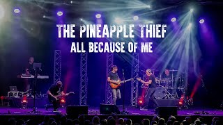 The Pineapple Thief  All Because of Me Official Video [upl. by Adidnac451]