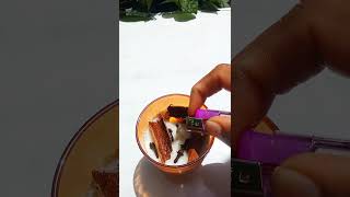 Insect repellent lamp  Mosquito repellent lamp  Incense Lamp viralvideo shorts [upl. by Sirrah]