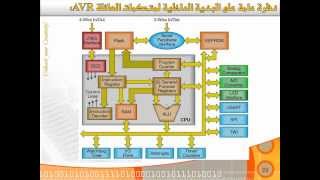 AVR Programming Crush Course 2012 Session01 [upl. by Adaha746]