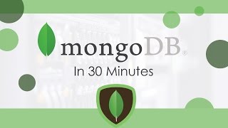 MongoDB In 30 Minutes [upl. by Isnyl]