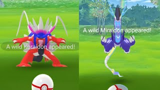 😲Omg Koraidon amp Miraidon in pokemon go [upl. by Mitman]