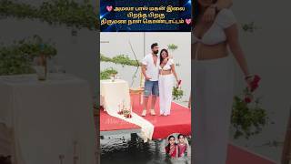 💖 அமலா பால் திருமண நாள் கொண்டாட்டம் 💖 trending wedding shortsfeed shorts tamil marriage [upl. by Wolf541]