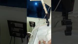 Ventilator Support for NICU New Born Baby viralvideo newbornbaby ventilador nicubaby nicu [upl. by Attah]