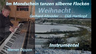 quotIm Mondschein tanzen silberne Flocken quot Instrumentel  Werner Dippon [upl. by Saihttam]