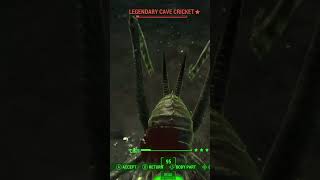 How did I miss this Cave Cricket with a Critical Hit I thought it just works fallout4 [upl. by Oibirot]