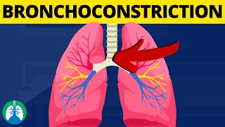 Bronchoconstriction Medical Definition  Quick Explainer Video [upl. by Had655]