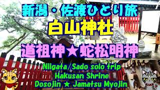 新潟・佐渡ひとり旅★白山神社★道祖神★蛇松明神★祈願の狛犬★結びの銀杏・Hakusan Shrine・Dosojin・Jamatsu Myojin・guardian dog・Niigata [upl. by Fontes648]