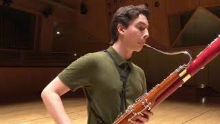 Paganini Caprice No 5  Theo Plath bassoon [upl. by Millhon971]