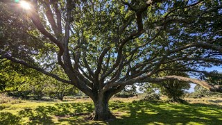 Cissbury Ring Revisited [upl. by Enyawal]