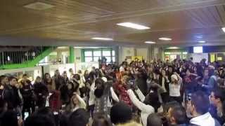 Move Your Body  Beyonce Geneva Switzerland Christmas Flashmob 2011 by Larson [upl. by Yelreveb]