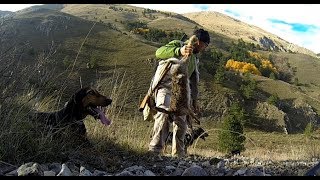 CACCIA ALLA LEPRE IN MONTAGNA  Ep 22 Seguita devastante con lepre presa dai cani [upl. by Ahsehat]