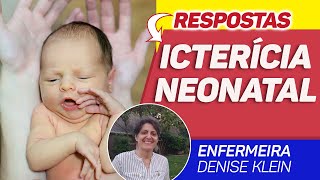 Icterícia Neonatal [upl. by Buerger]