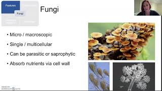 Pathogenic organisms Part 2 [upl. by Aiceled]