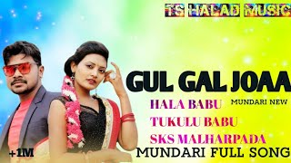 GUL GAL JOAA RE MUNDARI FULL SONG  NEW MUNDARI GUL GAL JOAA RE TS HALAD MUSIC MUNDARI SONG 2024 [upl. by Edelsten824]