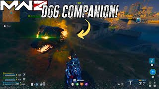 How To Get Dog Companion  MW3 ZOMBIES [upl. by Dietrich]