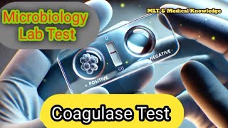 Microbiology Coagulase Test Song  Microbiology Lab  Mlt amp medical knowledge 🦠🧫 [upl. by Yazbak726]