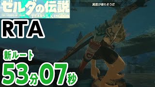 ゼルダの伝説 ティアーズオブザキングダム RTA any 5307 バグあり [upl. by Llennej]