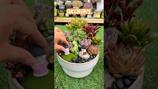 The 10Minute Succulent DIY Project That Will Change Your Life [upl. by Leahcimnhoj689]