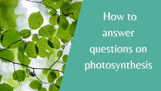 Photosynthesis How to answer test questions on photosynthesis  Biology Revision Years 7 8 amp 9 [upl. by Annal148]