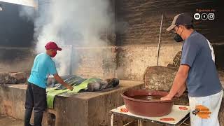 Elaboración de la barbacoa estilo Barbacoa el Taco Ranchero de Tulancingo [upl. by Donny]