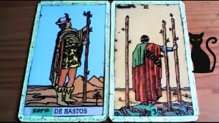 Combinaciones tarot con LA SOTA DE BASTOS  ARCANOS MENORES DE BASTOS Por TARA [upl. by Malley656]