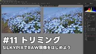 SILKYPIXでRAW現像をはじめよう 11 トリミング [upl. by Odrick771]