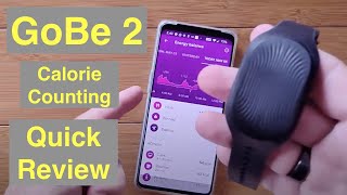 HEALBE GoBe2 Smart Band Tracks Calorie Intake Hydration Heart Rate Stress amp More Quick Overview [upl. by Anaert565]