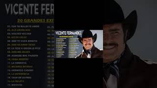 VICENTE FERNANDEZ LO MEJOR DE LO MEJOR SUS GRANDES CANCIONES [upl. by Ttayh408]