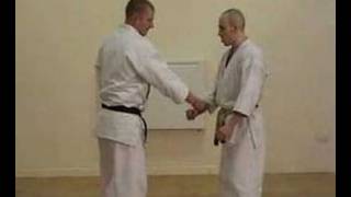 Bunkai to Shotokan Kata Empi [upl. by Garrison]