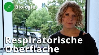 Atmung und die respiratorische Oberfläche – Biologie  Duden Learnattack [upl. by Dara]