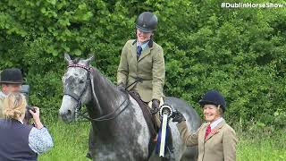 Racehorse Creates History Dingle Bay [upl. by Asenaj438]