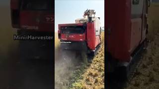 Satisfying Paddy Harvesting by Harvester farmequipment harvestor paddy [upl. by Deer]