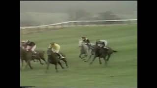 1978 Arkle Challenge Trophy Chase [upl. by Sonitnatsnoc]