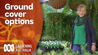 Native groundcover plant options for every garden environment  Gardening 101  Gardening Australia [upl. by Lecram]