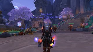 Wow shaman enhancement PvE [upl. by Demmahum]