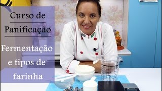 Qual a melhor farinha para fazer pães  aula 1 [upl. by Xxam269]