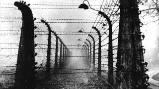 Auschwitz Lied [upl. by Damour]