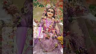 radhakrishna newvideo status litestar radheradhe trendingshorts viralvideo radhakrishnalove [upl. by Lema]