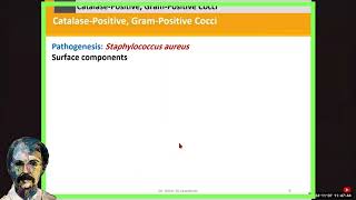 Diagnostic Microbiology Staphylococci [upl. by Shyamal]