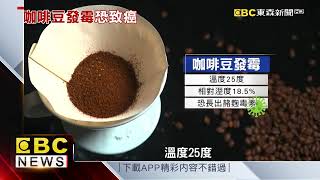 霉豆喝下肚成毒水 咖啡豆保存避濕熱 【聚焦真相】葉雲炫 newsebc [upl. by Evette]