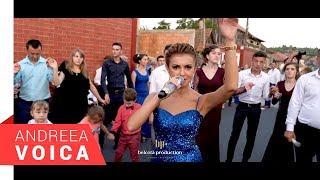 Andreea Voica Feat Stana Izbasa amp Papu  Colaj Brauri Live 2 [upl. by Elleral]