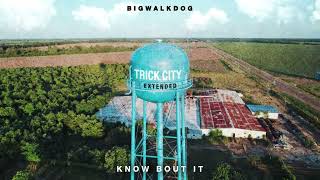 BigWalkDog  Know Bout It Official Audio [upl. by Tanah]