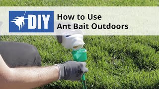 How to Use Ant Bait Outdoors  DoMyOwncom [upl. by Ayhtin]