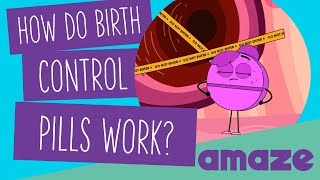 How Do Birth Control Pills Work [upl. by Ennirak458]