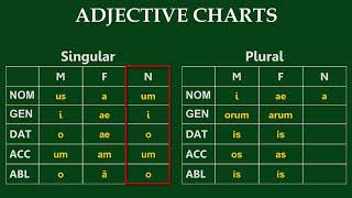 First  Second Declension Adjectives 312 [upl. by Penelope]