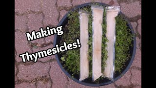 Making Thymesicles [upl. by Pugh]