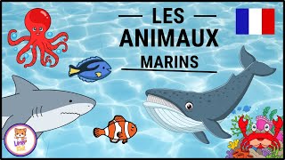 LES NOMS DES ANIMAUX MARINS  Apprendre le vocabulaire pour enfants [upl. by Anbul62]